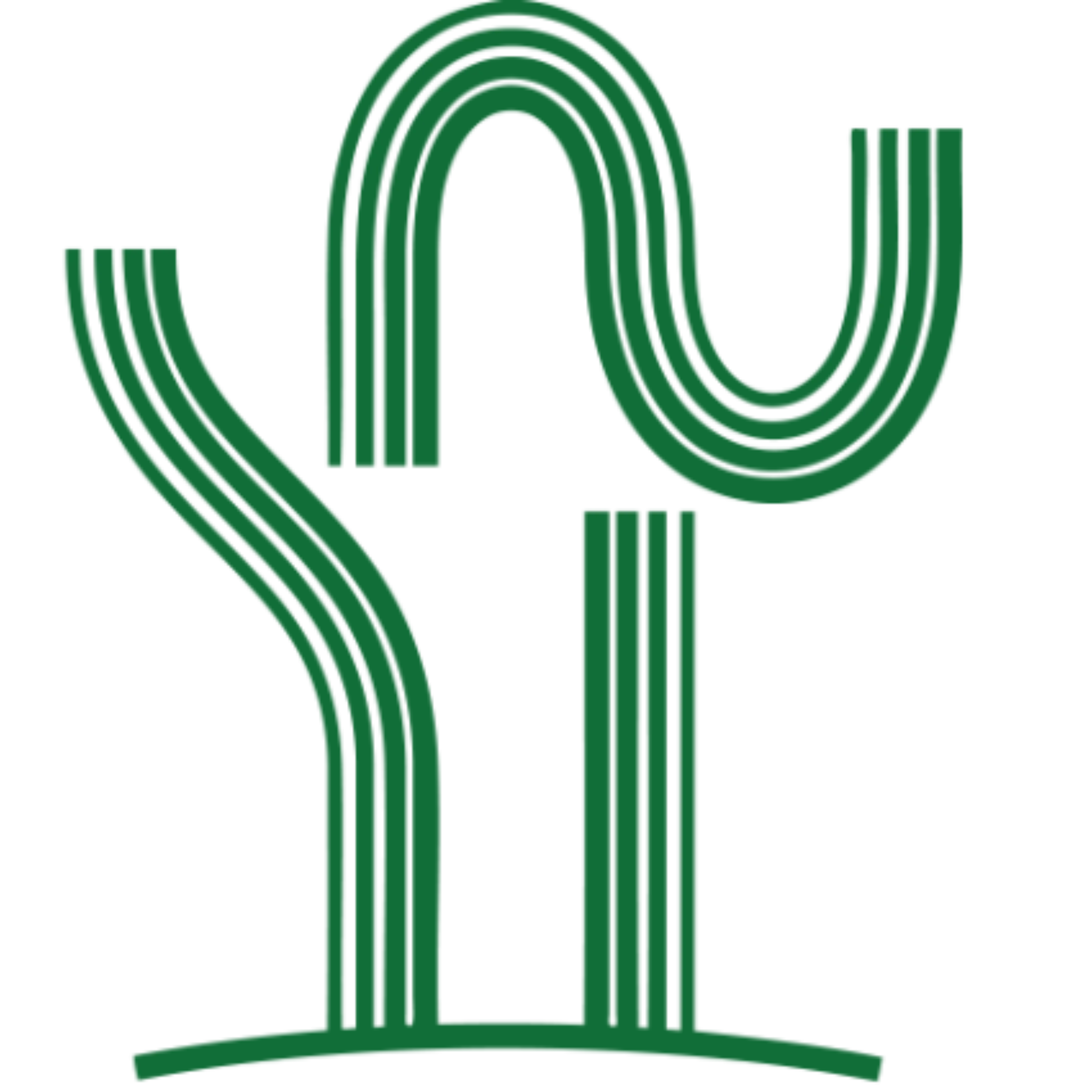 Prikkels Trainingen Aruba